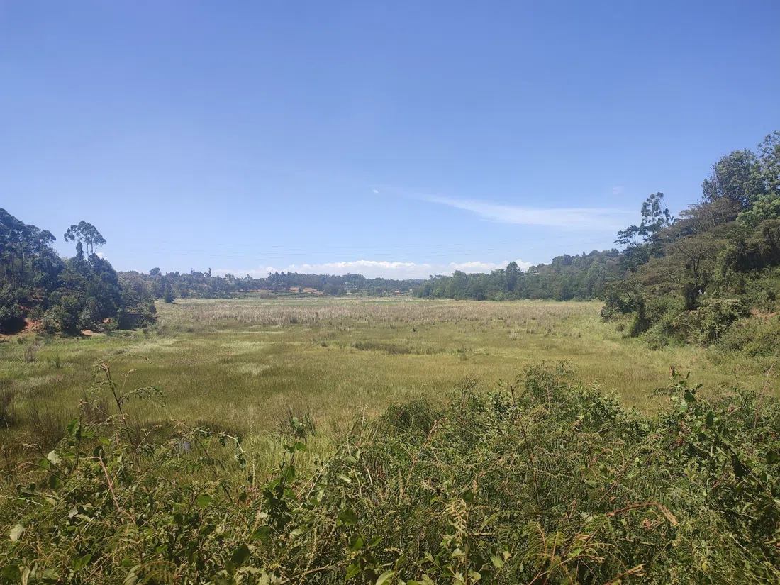 Ondiri Wetland, Nairobi