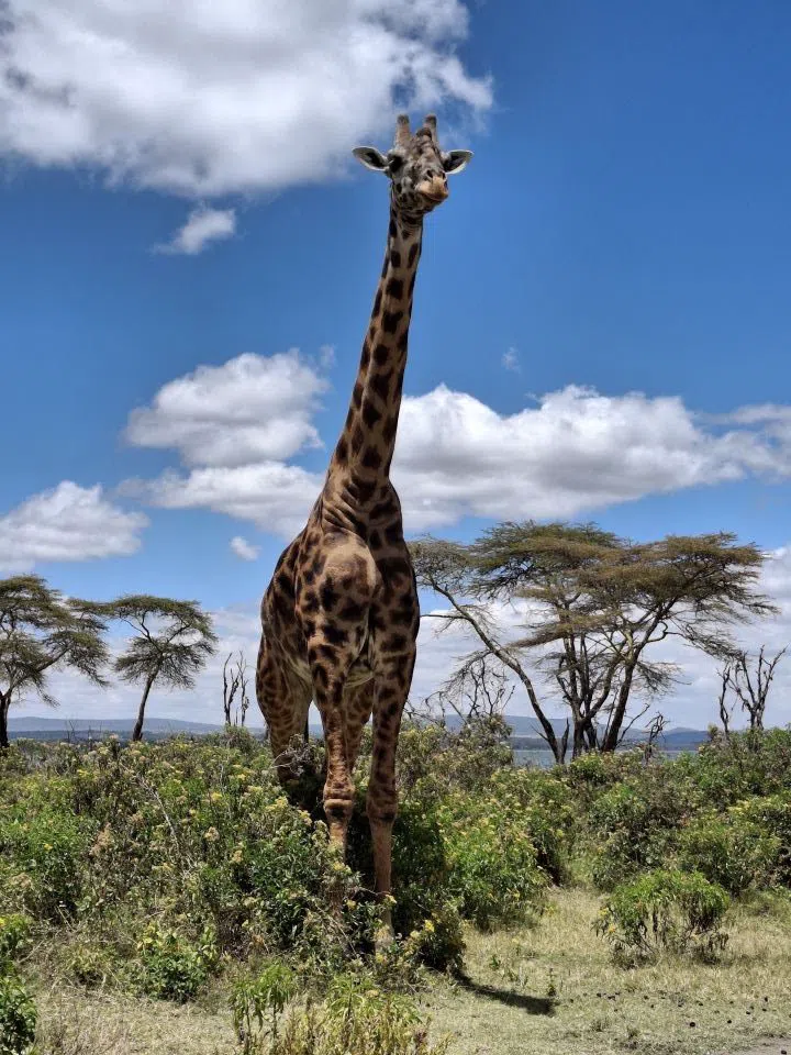 Crescent Island Game Sanctuary, Nairobi