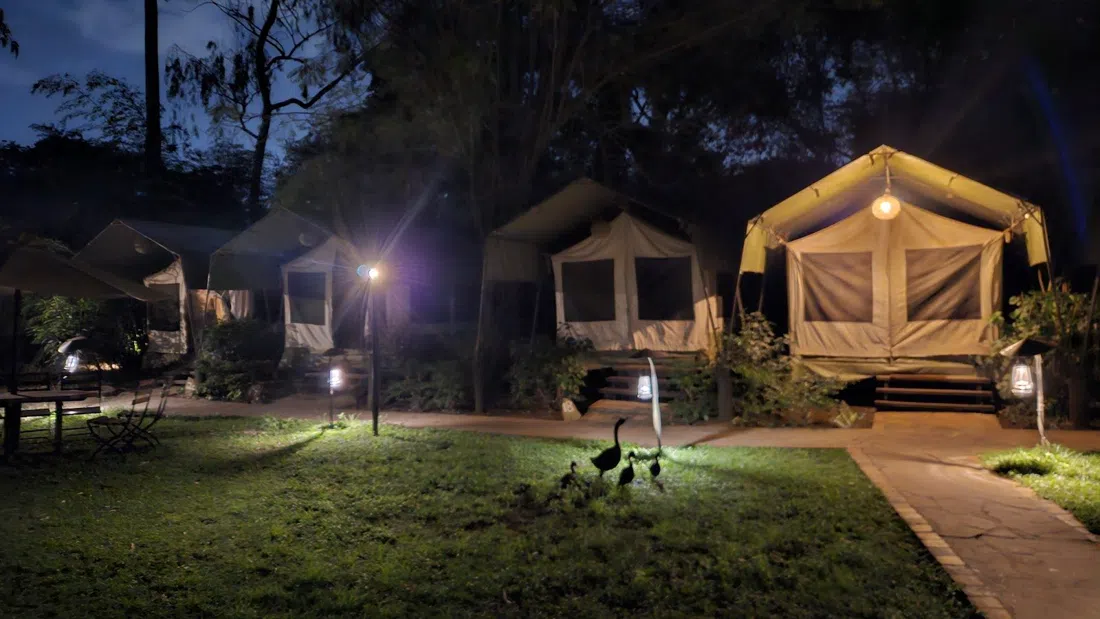 Wildebeest Eco Camp, Nairobi