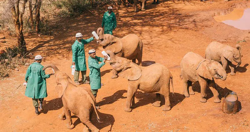 Nairobi numa longa escala, hora a hora