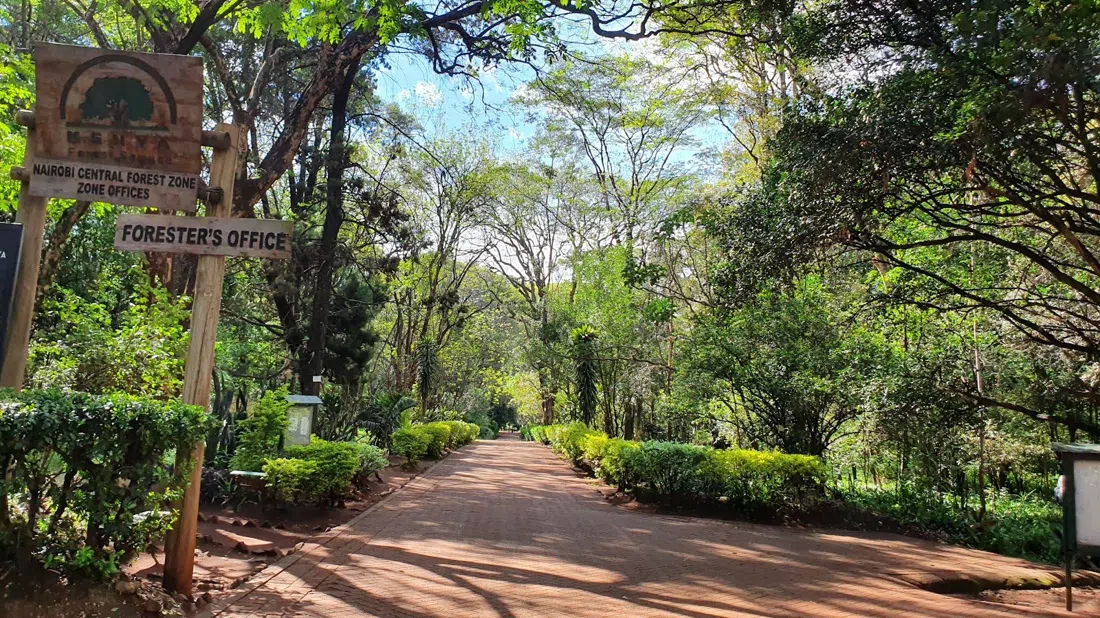 Brackenhurst Botanic Garden and Forest, Nairobi