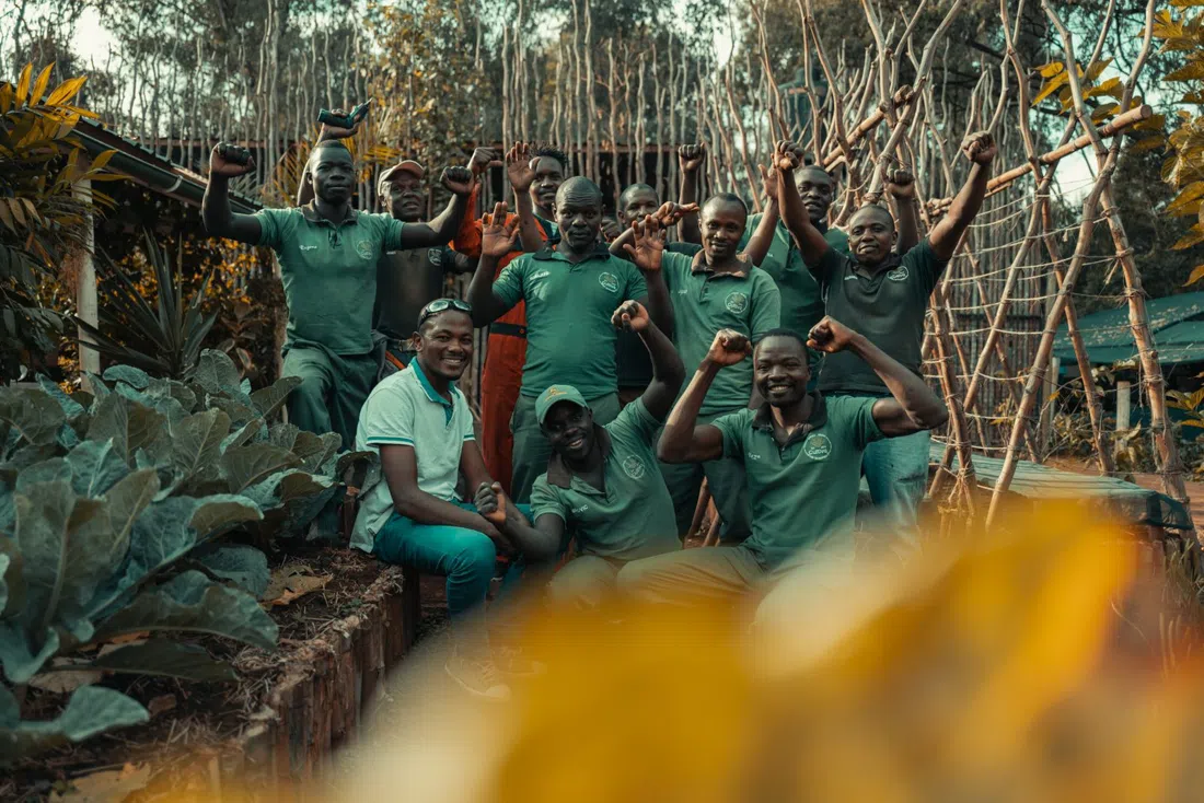 Cultiva, Nairobi