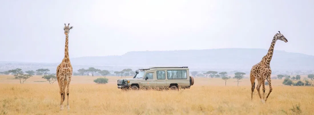 Mara Serena Safari Lodge, Nairobi