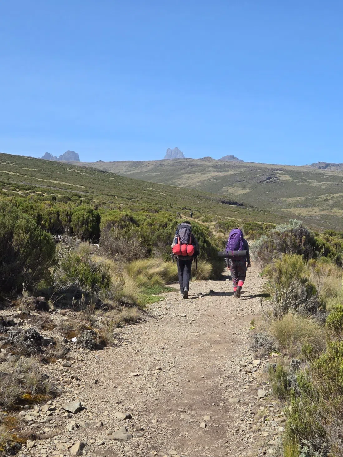 Mount Kenya Guides and Porters Safari Club, Nairobi