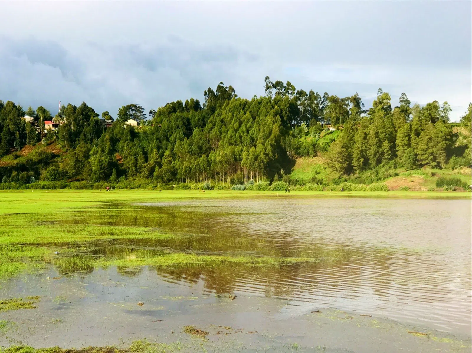 Manguo-Sumpf, Nairobi