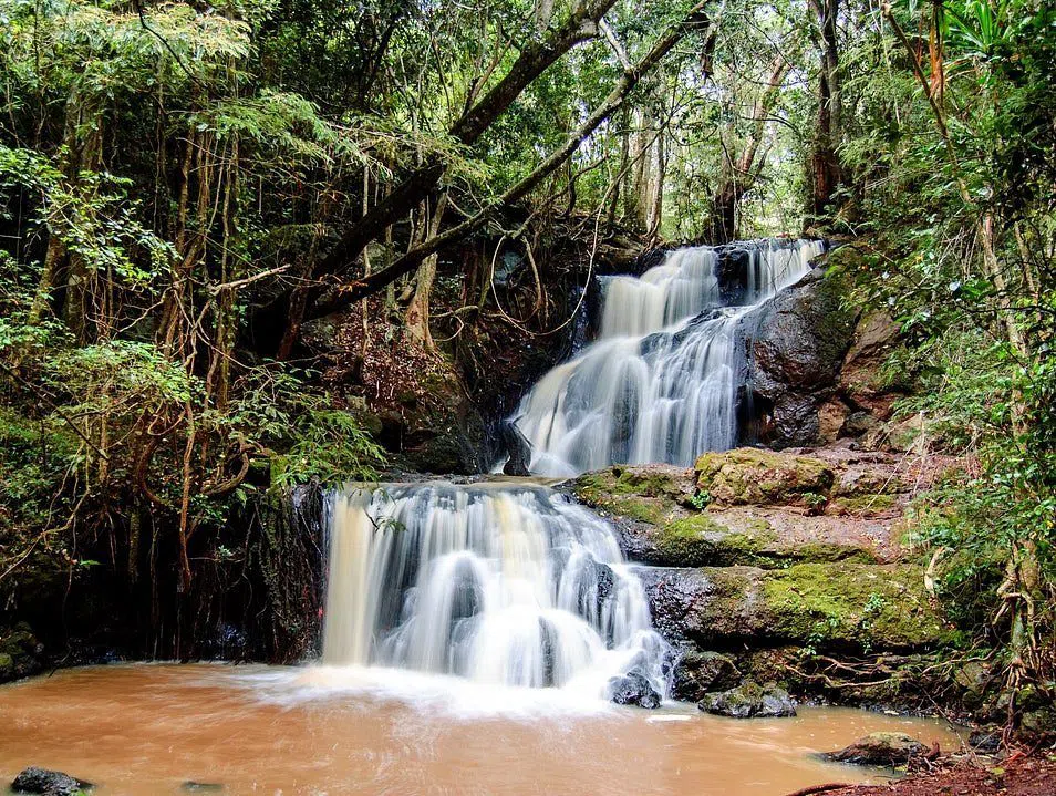 Walking Karura Forest and Nairobi's Other Green Places