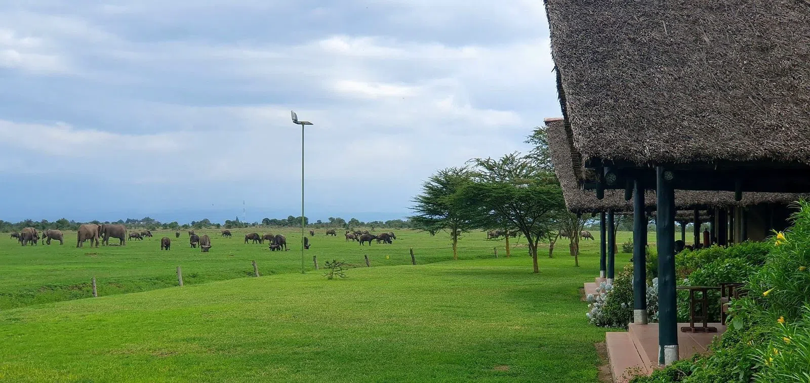 Sweetwaters Serena Camp, Nairobi